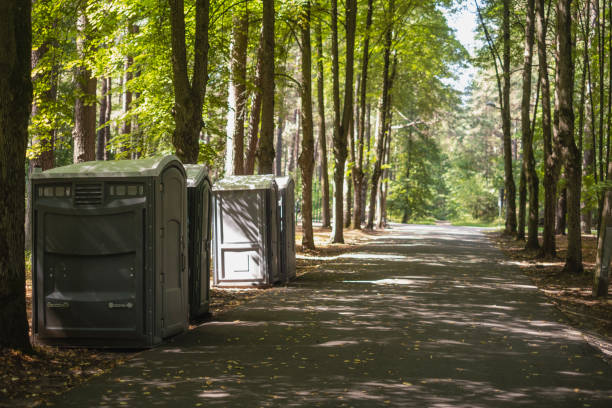 Best Best portable toilet rental  in Romancoke, MD